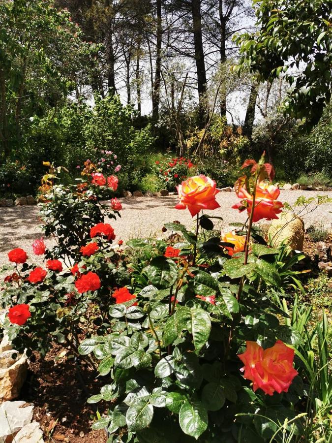 La Maison Du Soleil Provence Draguignan Dış mekan fotoğraf